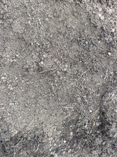 Load image into Gallery viewer, Turf/Lawn mix
